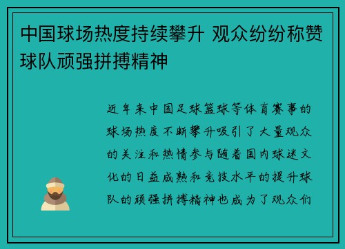 中国球场热度持续攀升 观众纷纷称赞球队顽强拼搏精神
